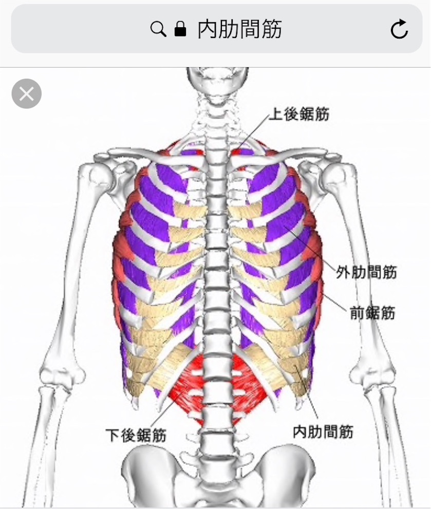 f:id:ba75pan:20191028110424j:image f:id:ba75pan:20191028110424j:image