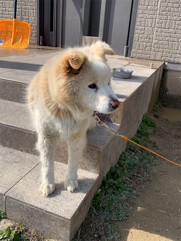 f:id:ba75pan:20200330152215j:image f:id:ba75pan:20200330152215j:image