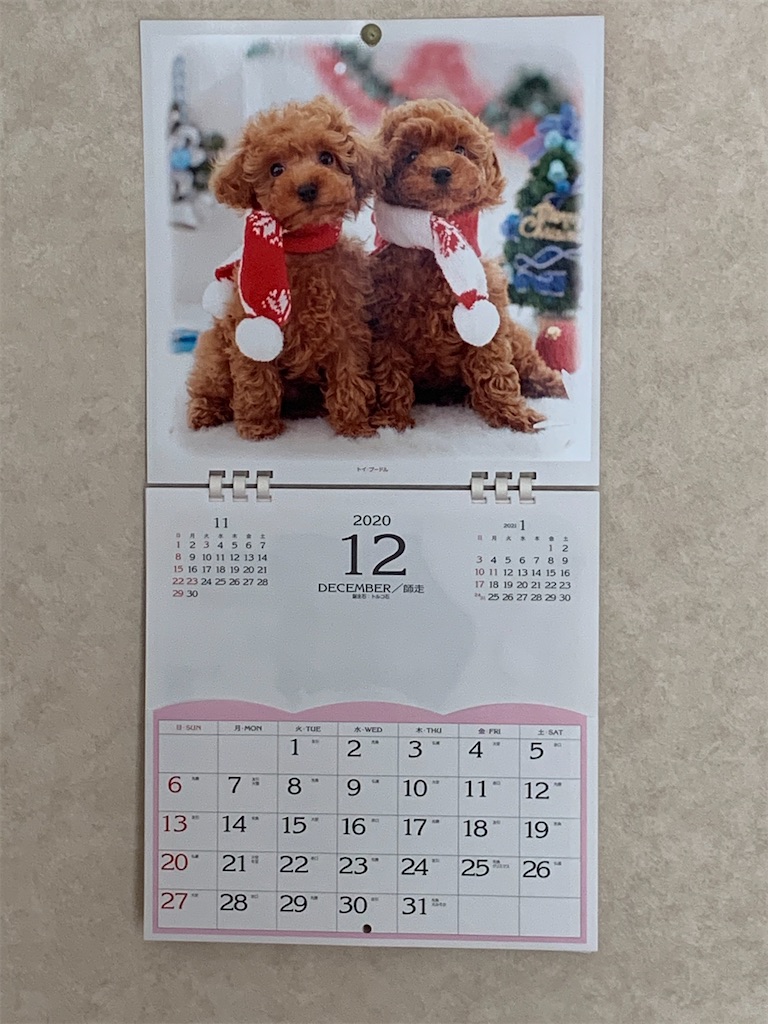 f:id:ba75pan:20210104093829j:image