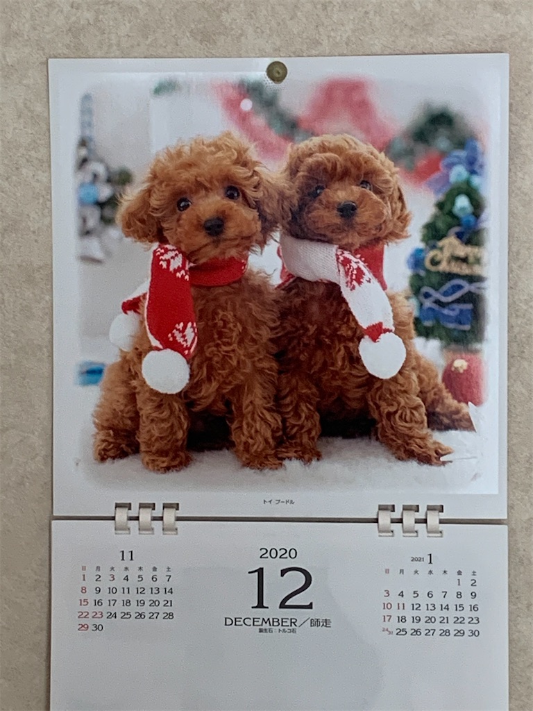 f:id:ba75pan:20210104094020j:image