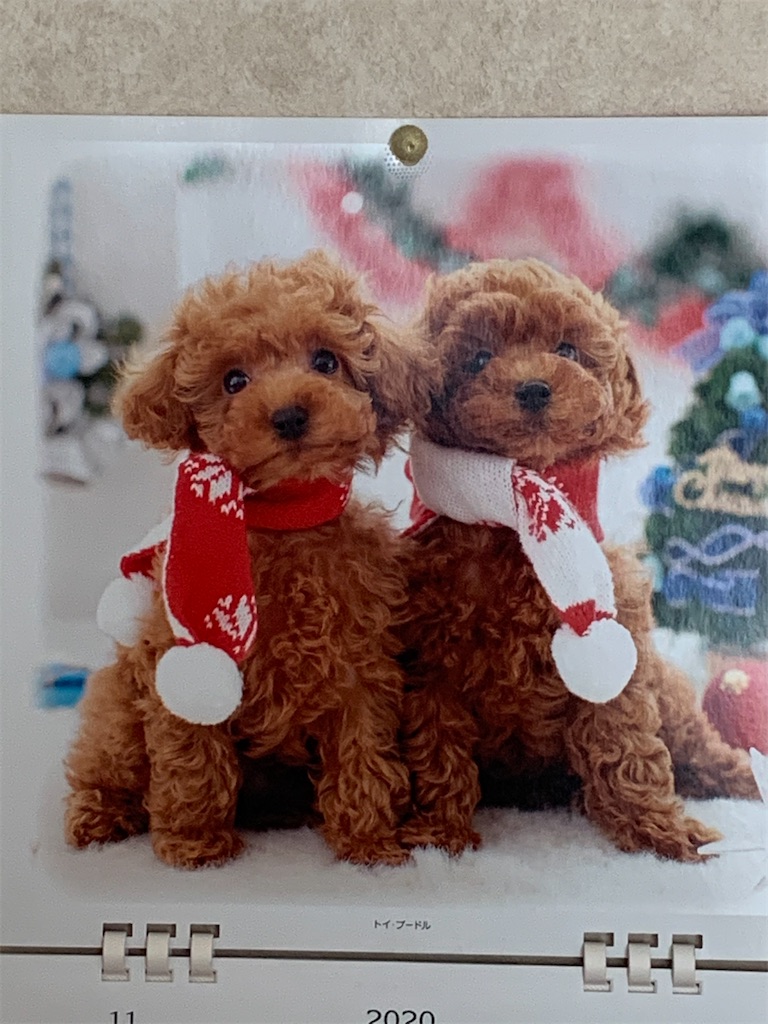 f:id:ba75pan:20210104094122j:image