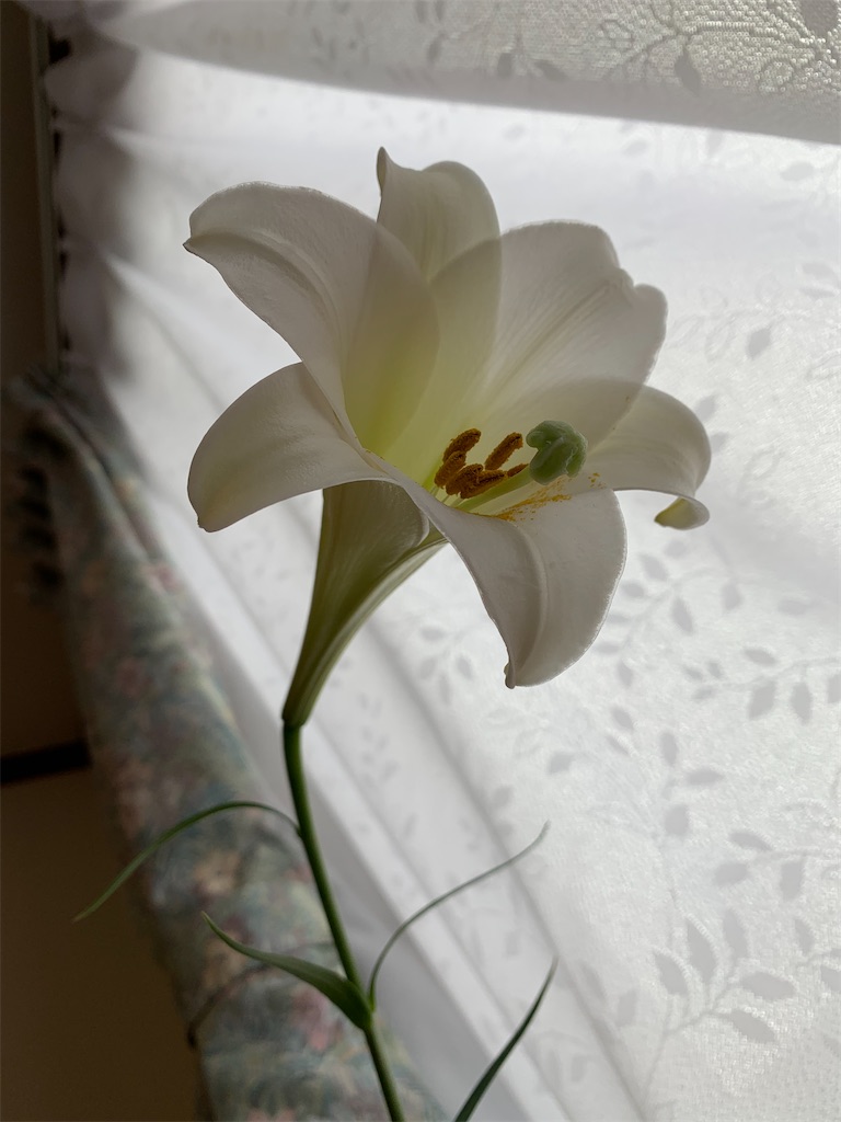 f:id:ba75pan:20210928095525j:image