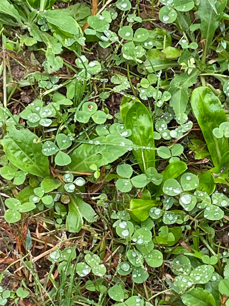 f:id:ba75pan:20211016153324j:image