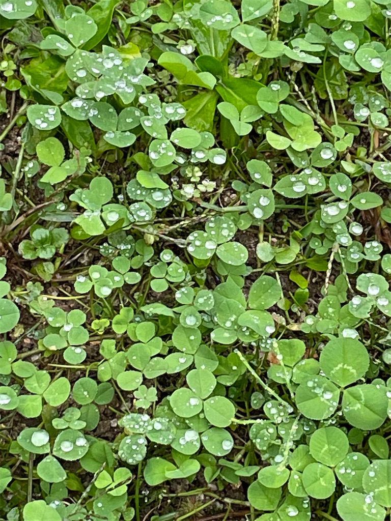 f:id:ba75pan:20211016153334j:image