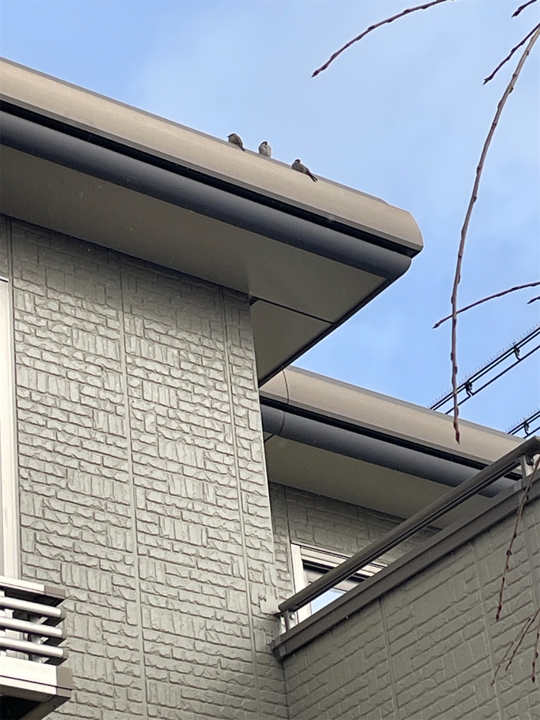 f:id:ba75pan:20251110092327j:image