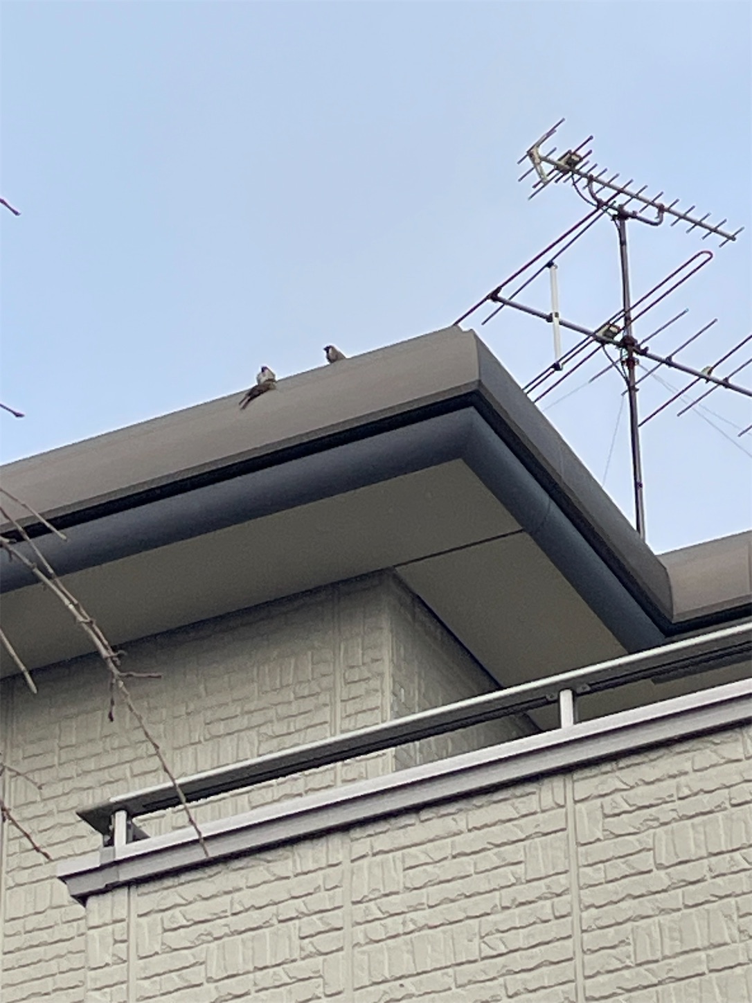 f:id:ba75pan:20251110092331j:image