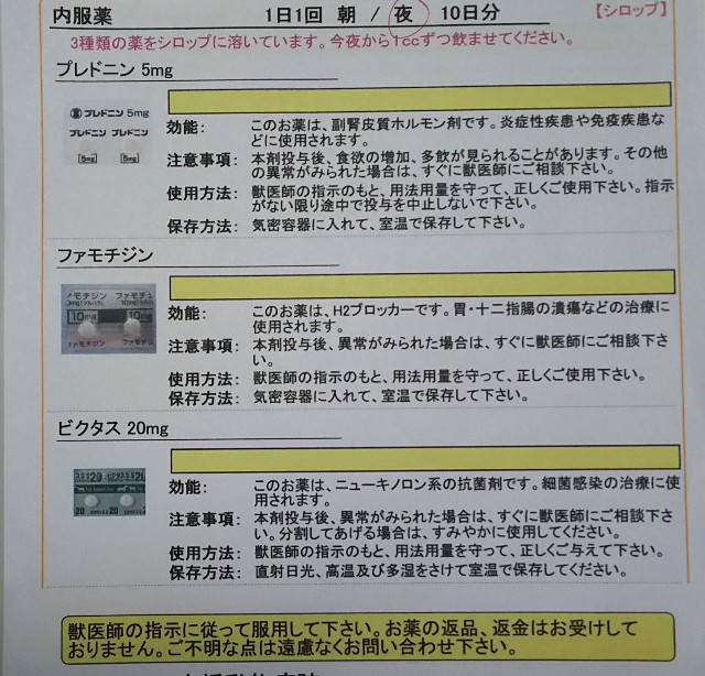 f:id:baba-neko:20200303165418j:image