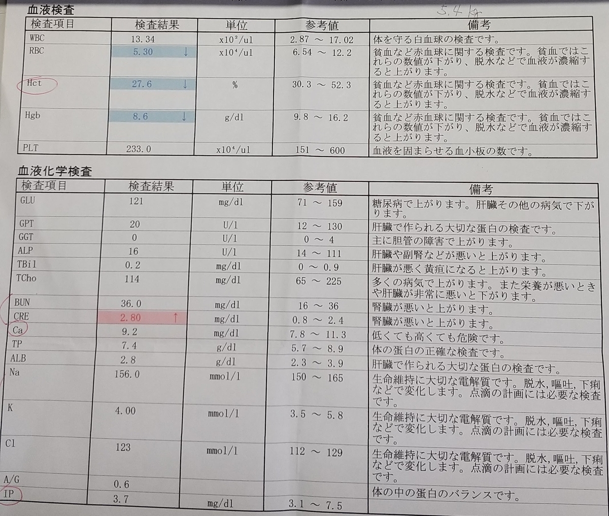 f:id:baba-neko:20200509135658j:plain