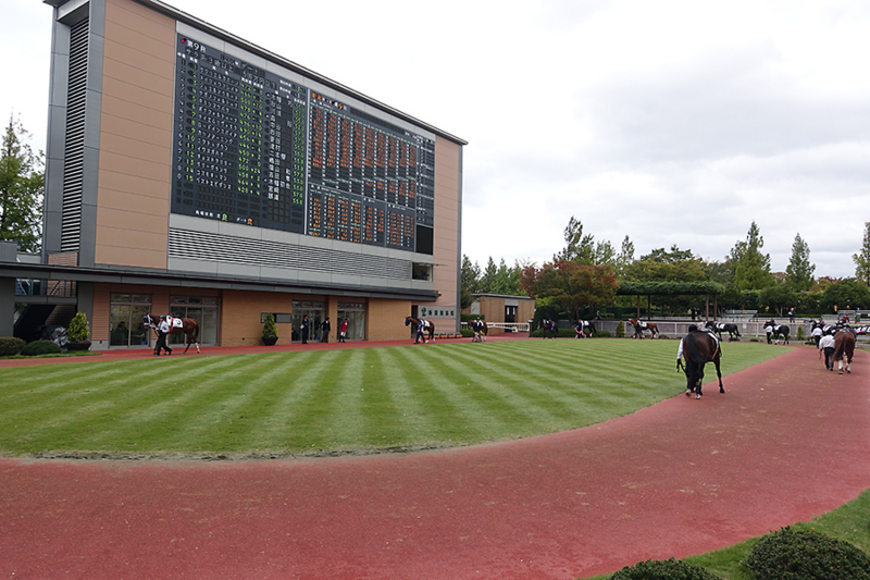 f:id:baba-p:20161023135839j:image:w300 f:id:baba-p:20161023135839j:image:w300