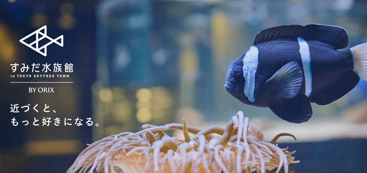 すみだ水族館