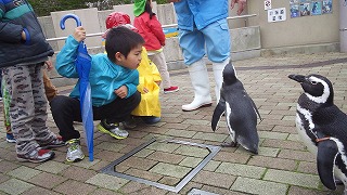 イメージ 4