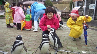 イメージ 5