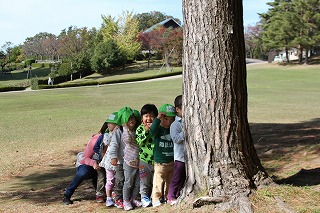 イメージ 7