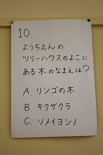 イメージ 15