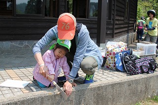 イメージ 7