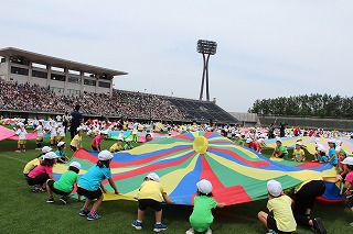 イメージ 8