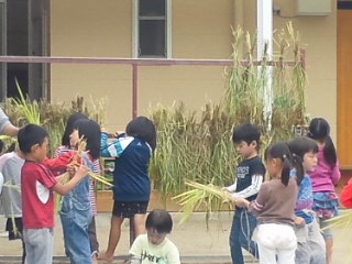 イメージ 3