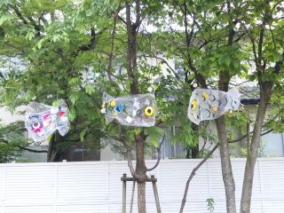 イメージ 1