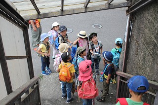 イメージ 12