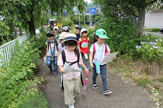 イメージ 7