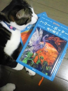イメージ 2