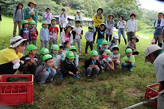 f:id:baba_rumiko:20200801180907j:plain f:id:baba_rumiko:20200801180907j:plain