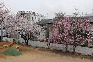 f:id:baba_rumiko:20210406160212j:plain
