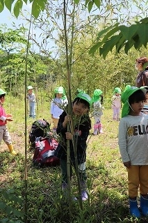 f:id:baba_rumiko:20210529190106j:plain