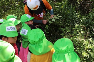 f:id:baba_rumiko:20210601093207j:plain