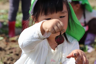 f:id:baba_rumiko:20211005231357j:plain