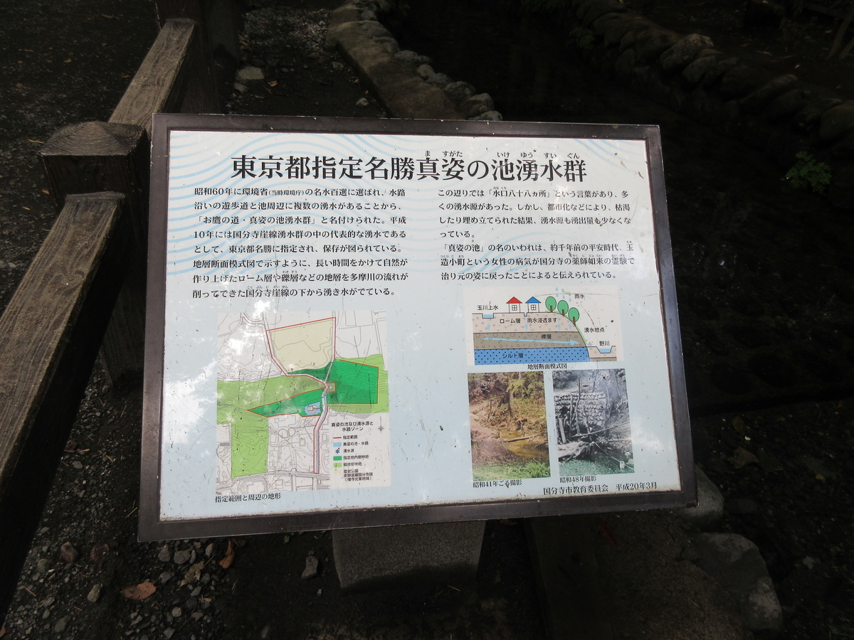 f:id:babako-a:20200702175036j:plain