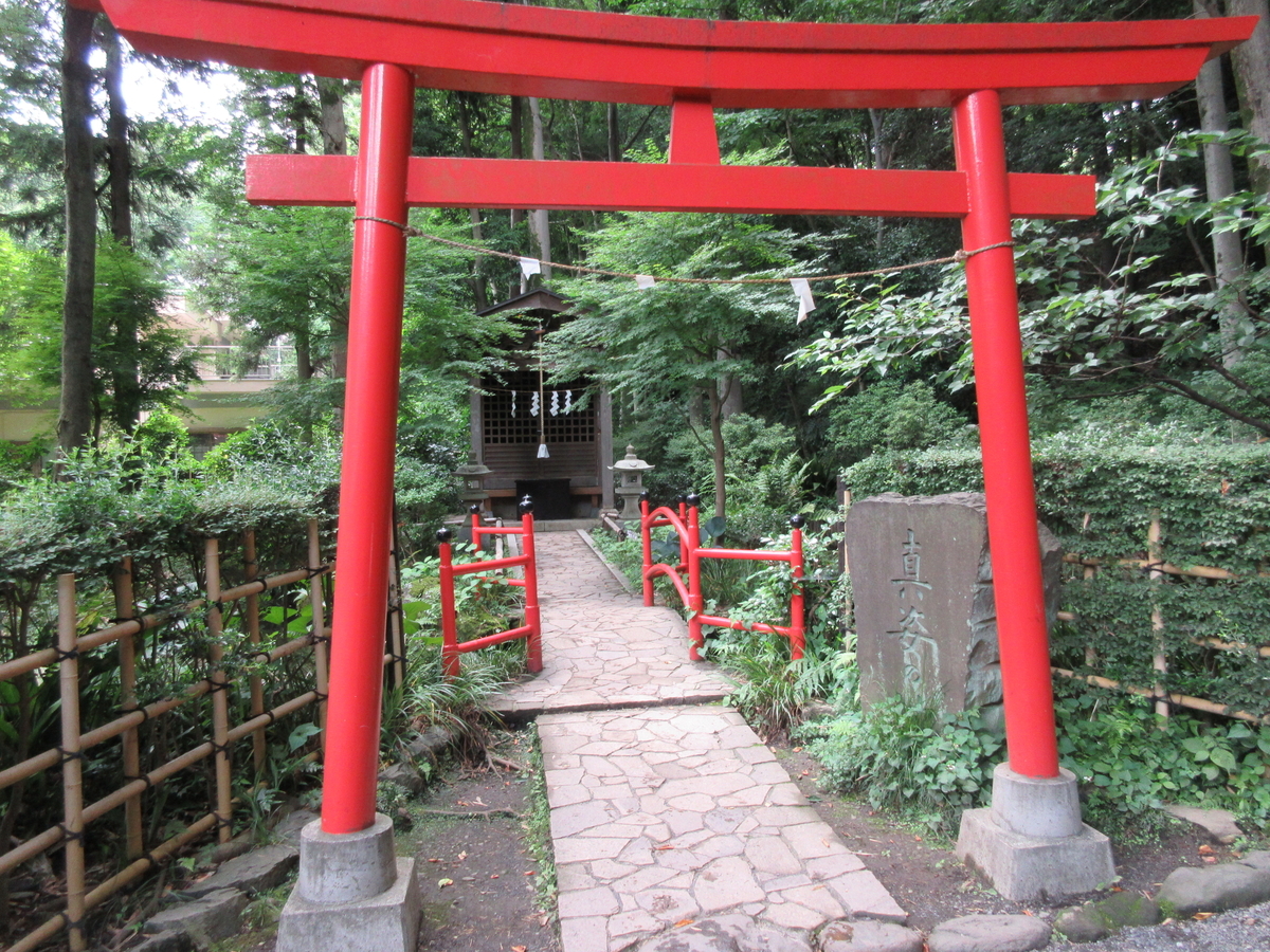 f:id:babako-a:20200702175121j:plain