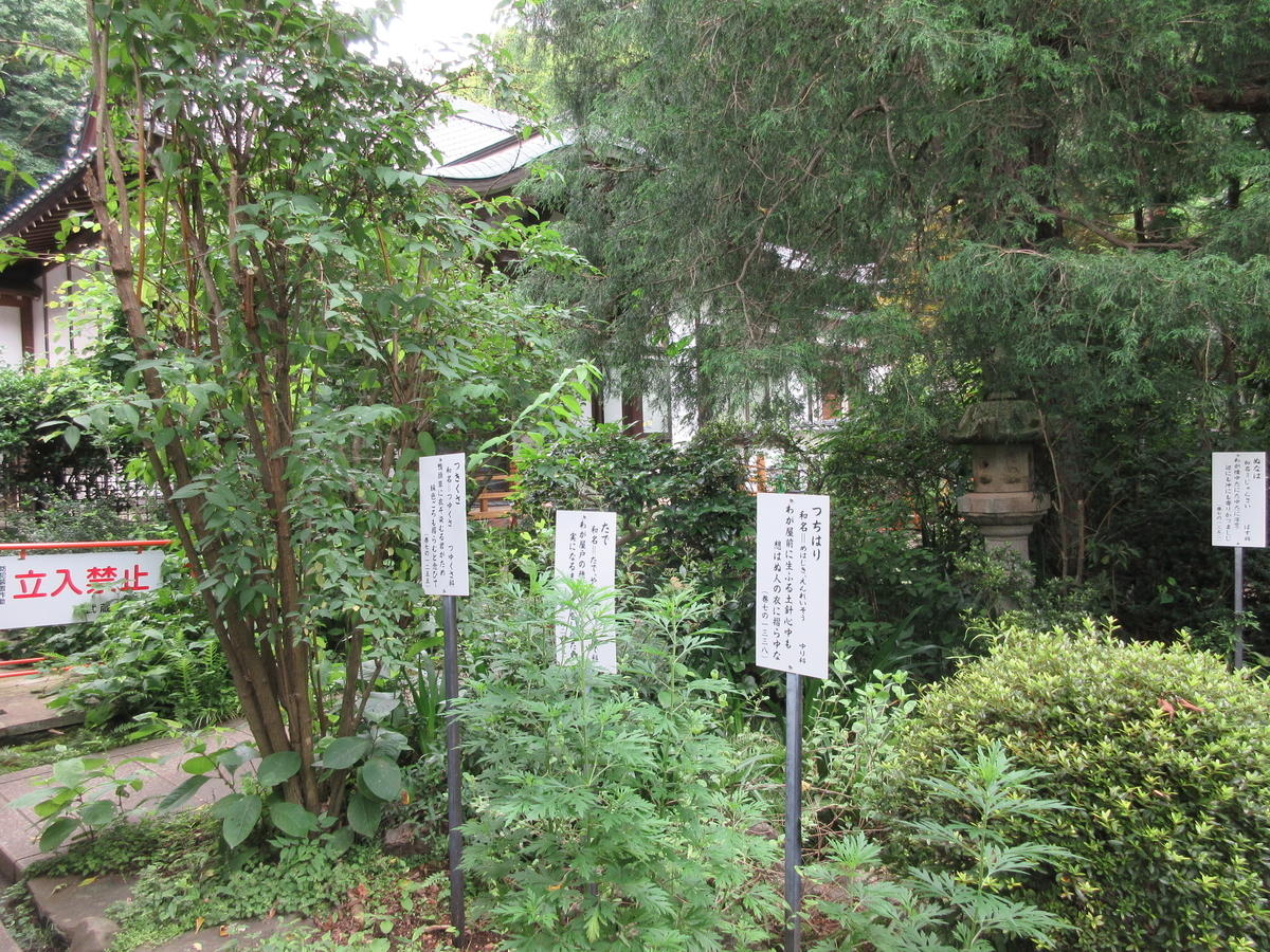 f:id:babako-a:20200702180051j:plain