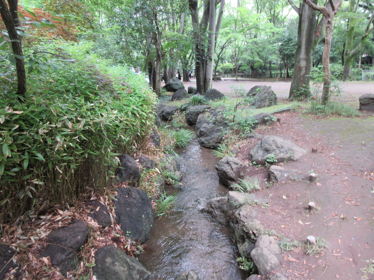 f:id:babako-a:20200719204339j:plain
