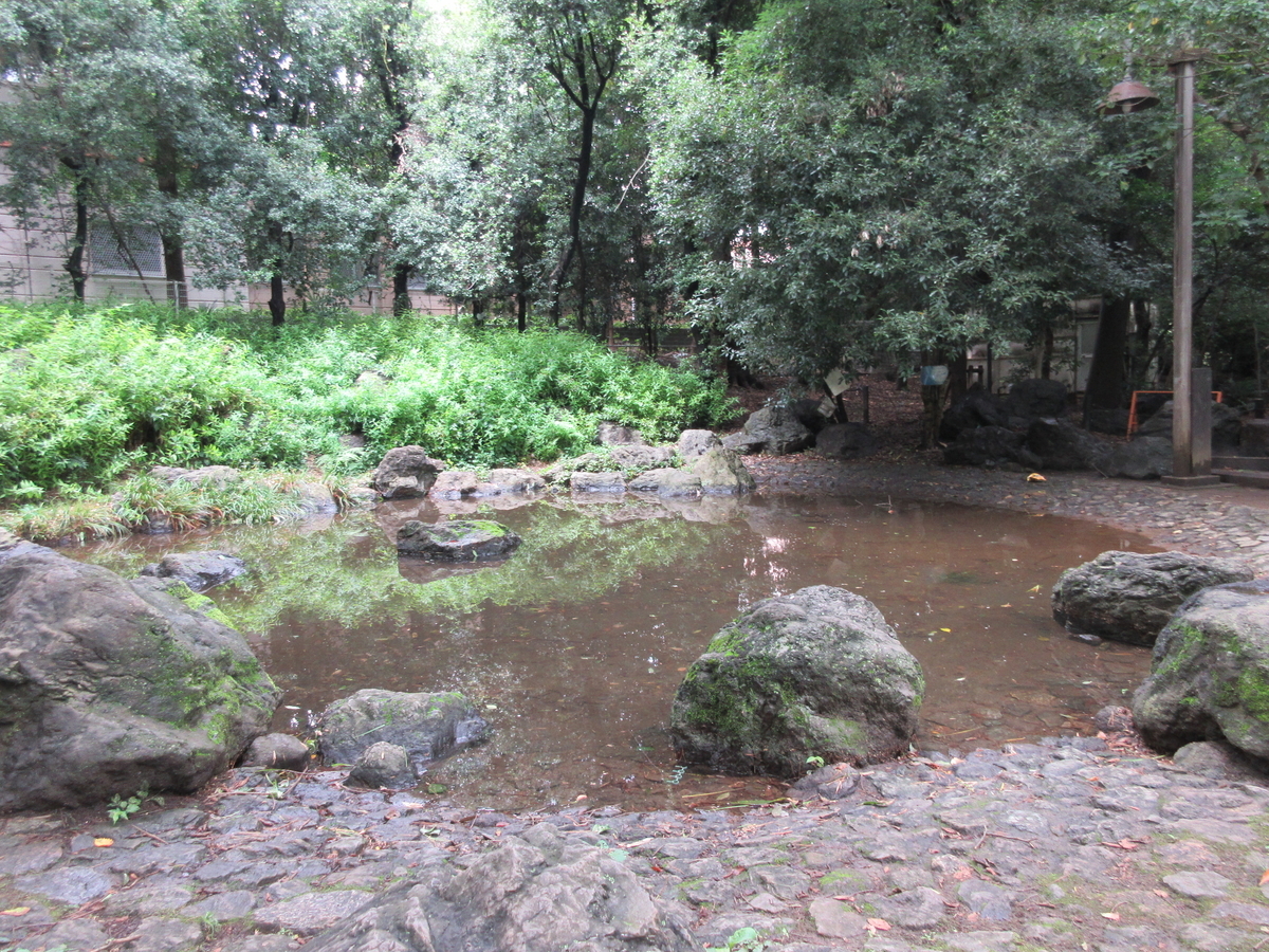 f:id:babako-a:20200719204401j:plain