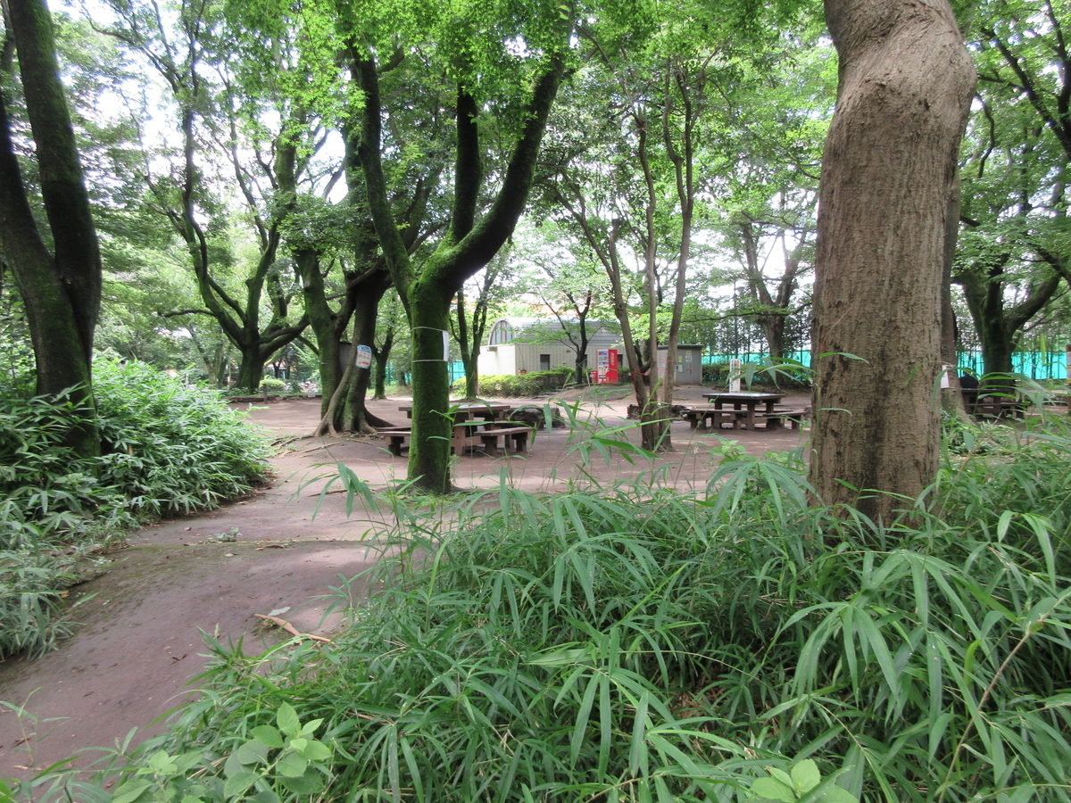 f:id:babako-a:20200719204653j:plain