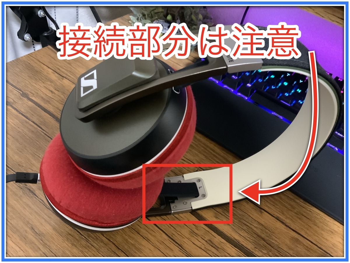 f:id:babariumusisan:20200702232037j:plain