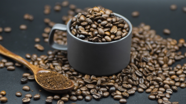 f:id:babariumusisan:20210623232959j:plain