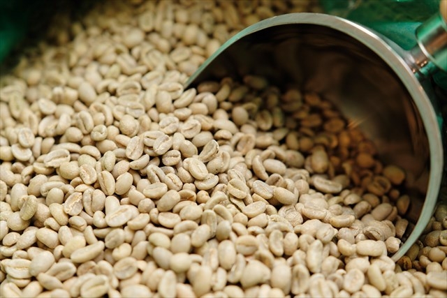 f:id:babariumusisan:20210623233103j:plain