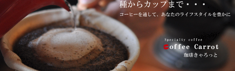 f:id:babariumusisan:20220315215331p:plain