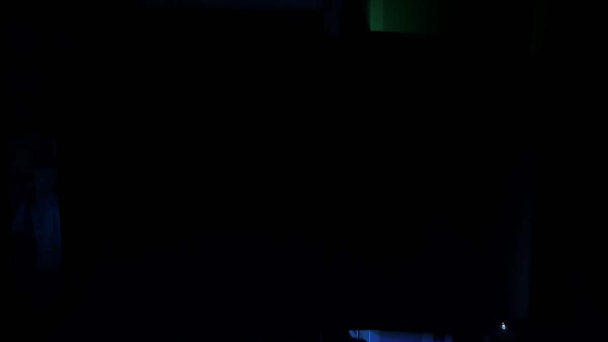 ブルーミング確認写真