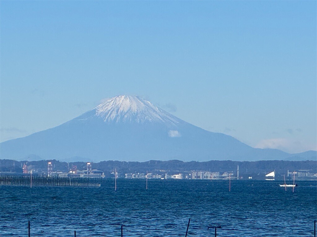 f:id:babashi:20241231011959j:image