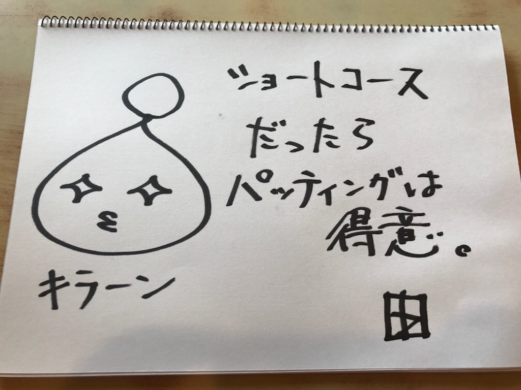 f:id:babgolf:20180804194720j:image