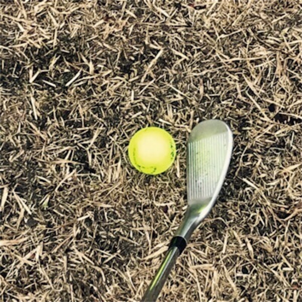f:id:babgolf:20200321205914j:image