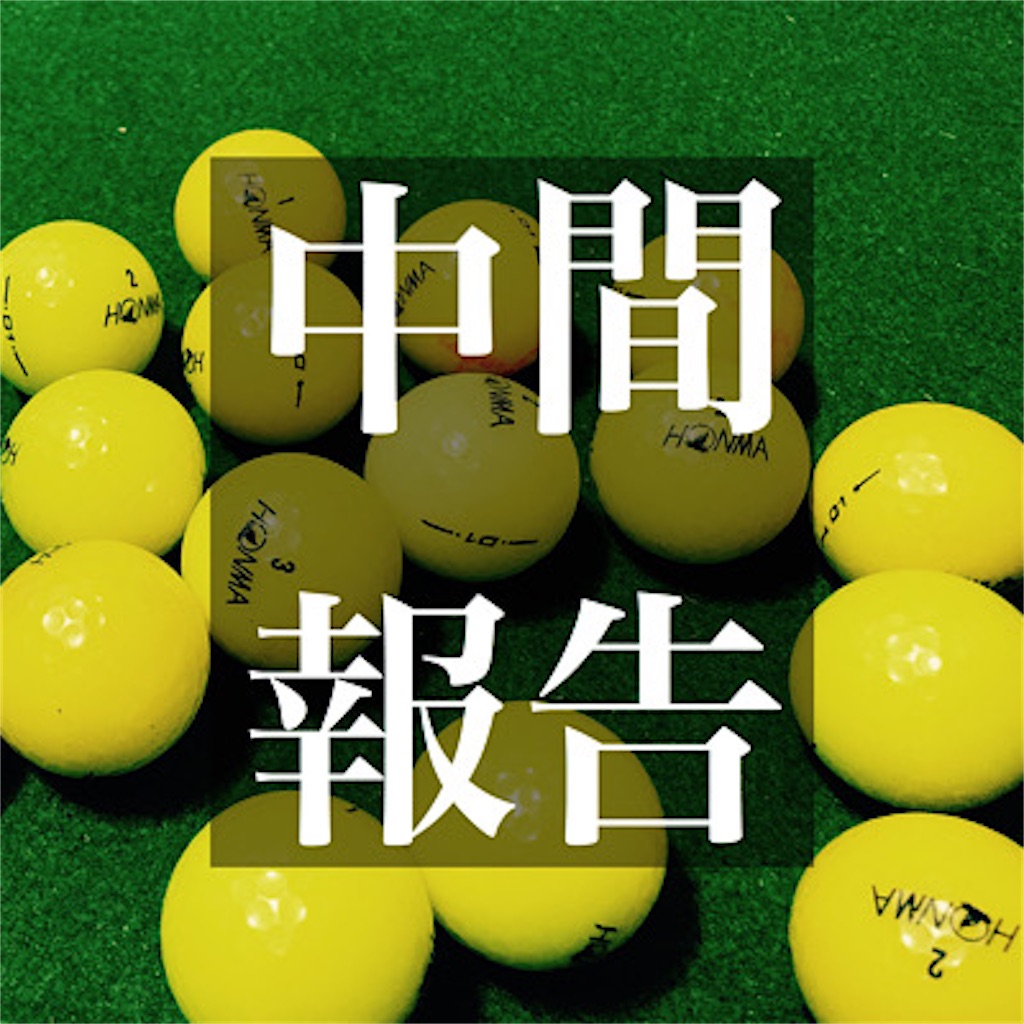 f:id:babgolf:20211119132013j:image