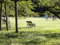 [ご近所][小金井公園]