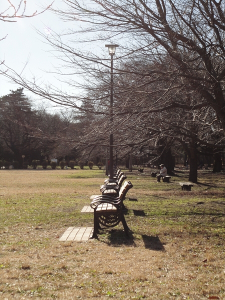 [小金井公園]