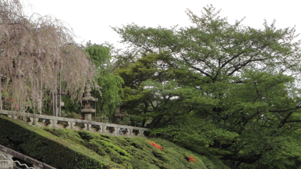 [京都][清水寺]