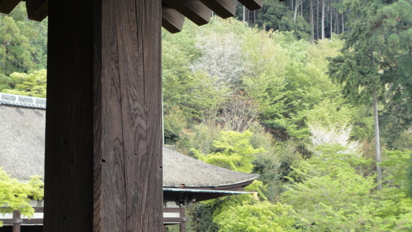 [京都][清水寺]