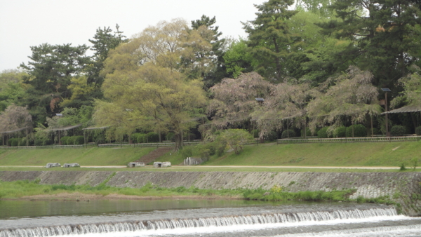 [京都][鴨川]